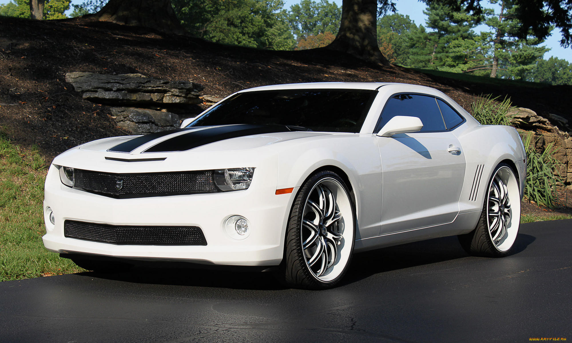 2010, chevrolet, camaro, 